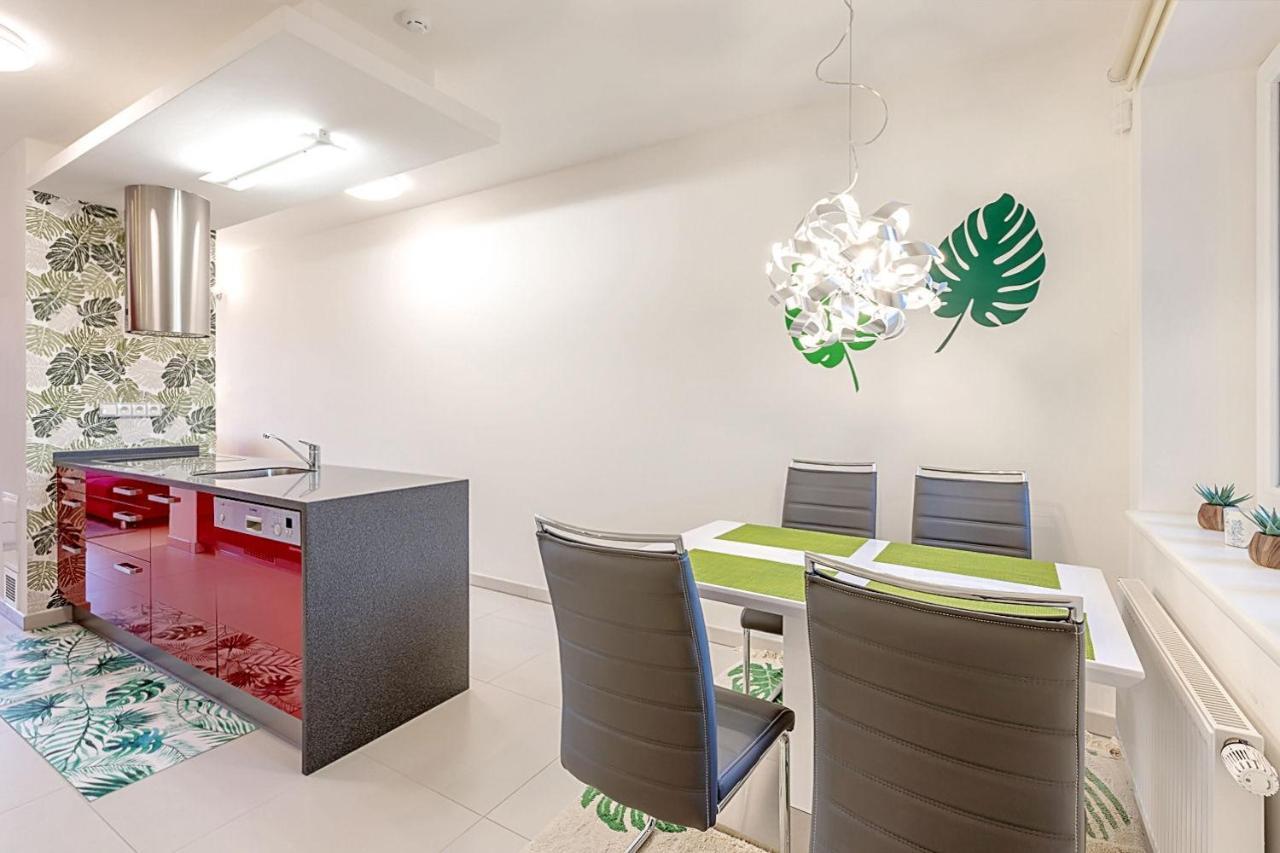 Miky Apartman Klinovec Garden Loučná pod Klínovcem エクステリア 写真